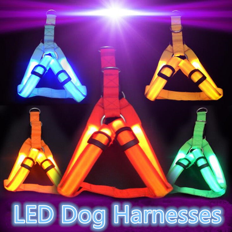 NEW Glowing LED Dog Harness -FOR All DOGS- 3 Flashing Modes-Colorful