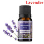 Pure Natural Plant Essential Oils Aromatherapy Essential Oil Fragrance Aroma @ME88