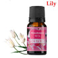 Pure Natural Plant Essential Oils Aromatherapy Essential Oil Fragrance Aroma @ME88