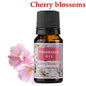 Pure Natural Plant Essential Oils Aromatherapy Essential Oil Fragrance Aroma @ME88